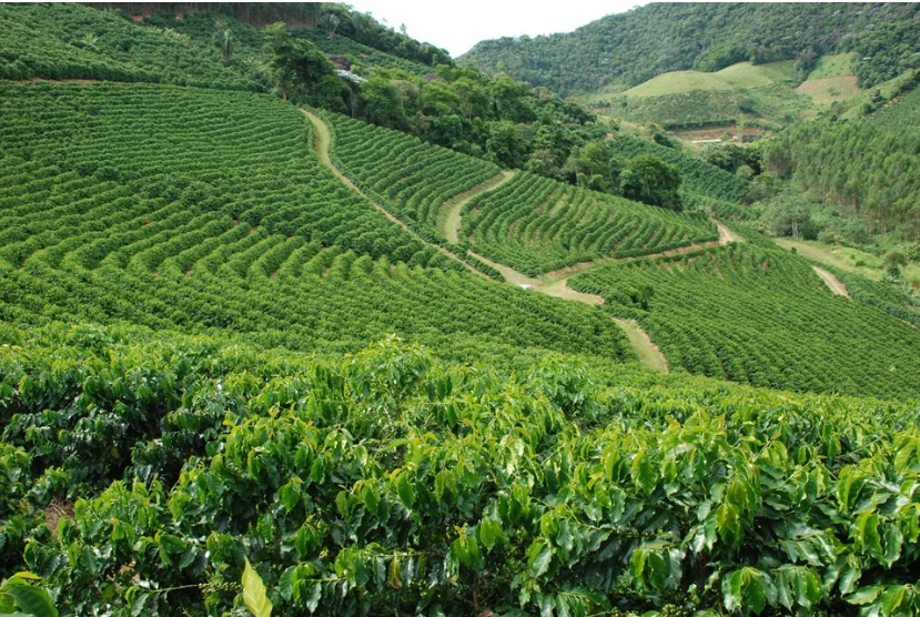 Norte do Espírito Santo ganha força na logística do café