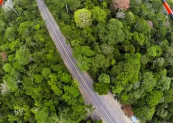 Expedição na Mata Atlântica em Linhares busca bactérias