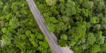 Expedição na Mata Atlântica em Linhares busca bactérias
