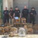 Pássaros silvestres são apreendidos em feira no ES